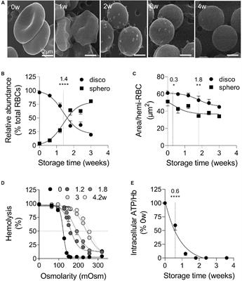 Interplay Between Plasma Membrane Lipid Alteration, Oxidative Stress and Calcium-Based Mechanism for Extracellular Vesicle Biogenesis From Erythrocytes During Blood Storage